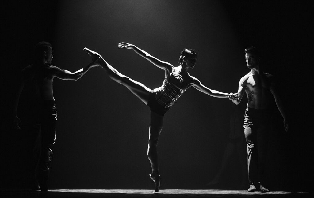 Synergy with Contemporary Dance